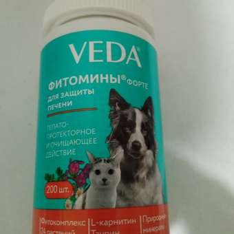 Витамины для животных Veda Фитомины Форте для защиты печени собакам и кошкам 200 таблеток: отзыв пользователя. Зоомагазин Зоозавр