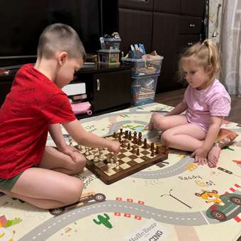 Настольная игра TrendToys Шахматы и шашки: отзыв пользователя Детский Мир
