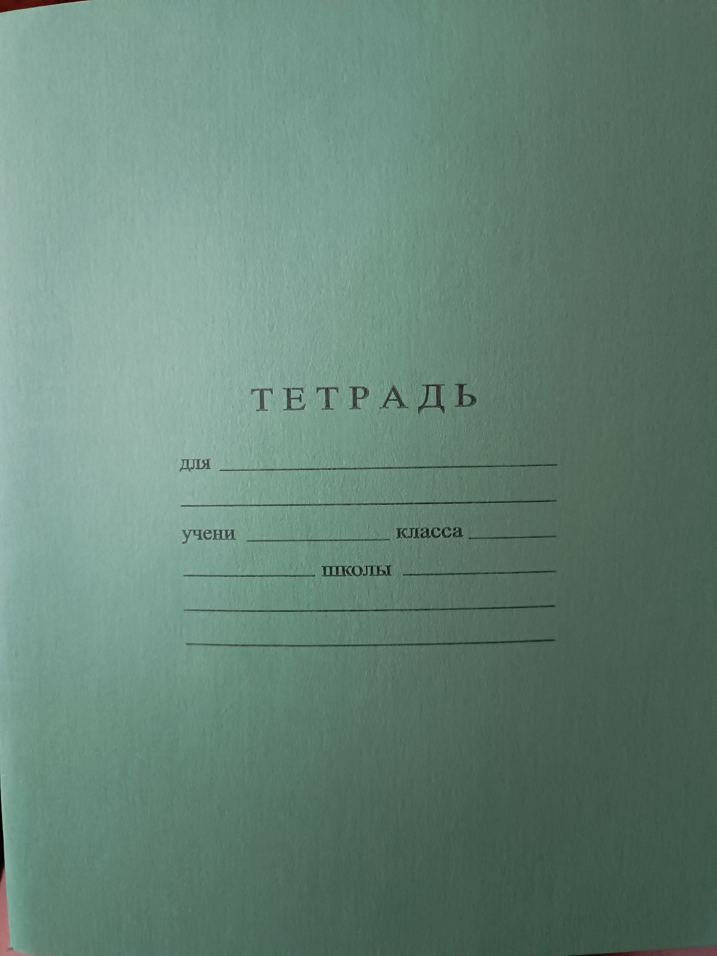 Очень тонкие сероватые страницы. Бумага какая-то шершавая. Клетка не такая яркая, как хотелось бы. Не стала покупать эти тетради для первоклассницы. Буду искать более качественные