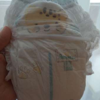 Трусики Pampers Premium Care 4 (9-15 кг) 38 шт.: отзыв пользователя Детский Мир