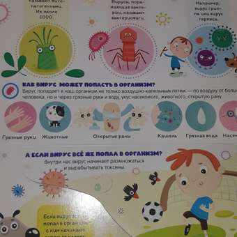Книга Malamalama с окошками Вирусы и бактерии Что мы знаем о них: отзыв пользователя Детский Мир