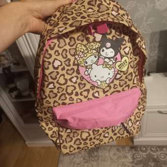 Рюкзак дошкольный Erhaft Hello Kitty HK-2311: отзыв пользователя Детский Мир