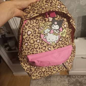 Рюкзак дошкольный Erhaft Hello Kitty: отзыв пользователя Детский Мир