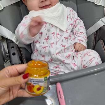 Пюре Бабушкино лукошко персик для детей с 4 месяцев 100 г: отзыв пользователя ДетМир