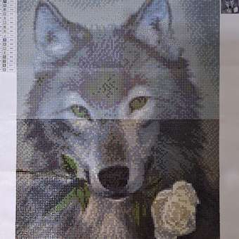 Алмазная мозаика Seichi Волк с белой розой 40х50 см: отзыв пользователя Детский Мир