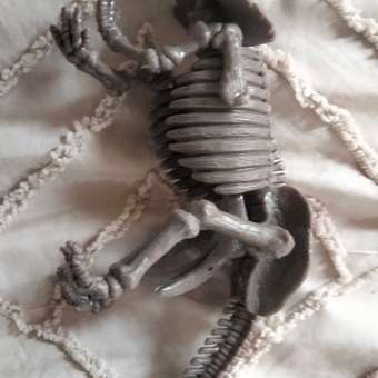 Набор для раскопок 4M Скелет трицератопса: отзыв пользователя Детский Мир