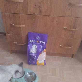 Корм для котят Pet-a-Pet 2кг с цыпленком: отзыв пользователя. Зоомагазин Зоозавр