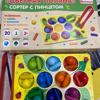 Игрушка Alatoys сортер Цветная поляна в ассортименте: отзыв пользователя Детский Мир