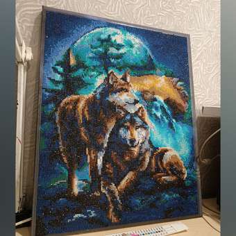 Алмазная мозаика Art on Canvas Лунная ночь холст на подрамнике 40х50 см: отзыв пользователя Детский Мир