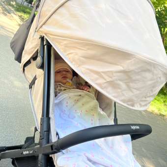 Прогулочная коляска INGLESINA Quid 2 Alpaca Beige: отзыв пользователя Детский Мир