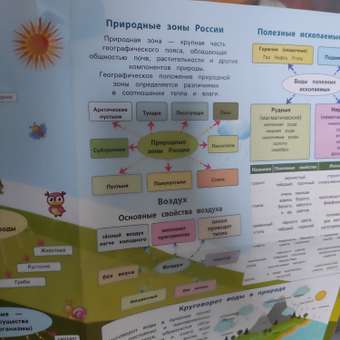 Плакат Феникс: отзыв пользователя Детский Мир