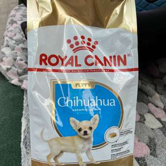 Корм для щенков ROYAL CANIN Junior породы чихуахуа 1.5кг: отзыв пользователя. Зоомагазин Зоозавр