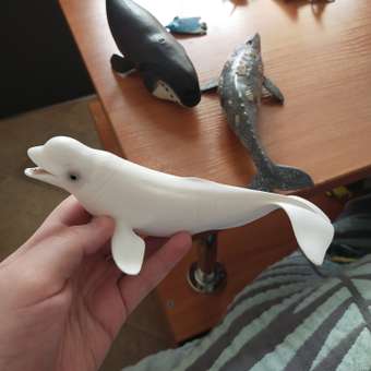 Игрушка Collecta Белуха фигурка морского животного: отзыв пользователя Детский Мир