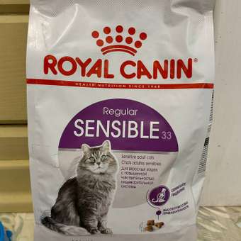 Сухой корм для кошек ROYAL CANIN 1.2 кг (полнорационный): отзыв пользователя. Зоомагазин Зоозавр