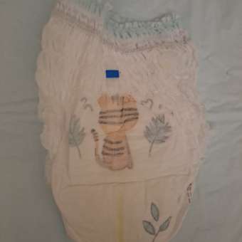 Подгузники-трусики Pampers Premium Care Pants 3 6-11кг 2шт: отзыв пользователя Детский Мир