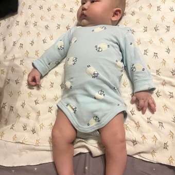 Боди BabyGo: отзыв пользователя Детский Мир