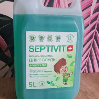 Гель для мытья посуды SEPTIVIT Premium Нежное алое 5л: отзыв пользователя Детский Мир