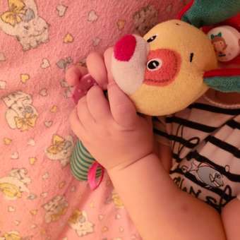 Игрушка BabyGo погремушка Собачка: отзыв пользователя Детский Мир