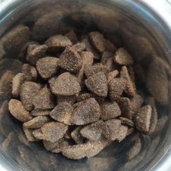 Корм для собак MONGE Dog Speciality гипоаллергенный лосось с тунцом сухой 2.5кг: отзыв пользователя. Зоомагазин Зоозавр