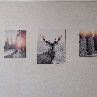 Комплект картин на холсте LORI Интерьерные на стену 3 в 1 Природа 30х40 и 40х50 см: отзыв пользователя Детский Мир