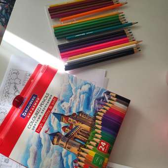 Карандаши цветные Brauberg деревянные для рисования мягкие 24 цвета: отзыв пользователя Детский Мир