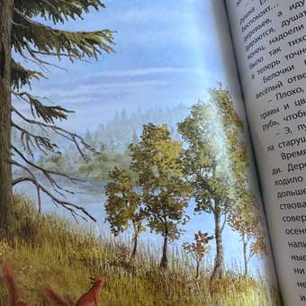 Книга ЭНАС-книга Ботанические сказки: отзыв пользователя Детский Мир