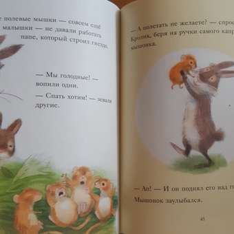 Книга АСТ Большой сюрприз для маленького кролика: отзыв пользователя Детский Мир