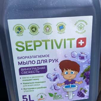 Жидкое мыло SEPTIVIT Premium Виноградная свежесть 5л: отзыв пользователя Детский Мир
