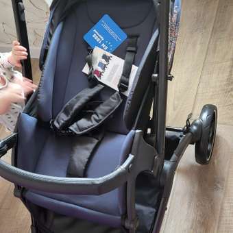 Коляска прогулочная Olsson Jazz Dark Blue: отзыв пользователя Детский Мир