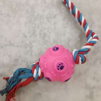 Игрушка для собак Uniglodis Шар на веревке розовый: отзыв пользователя. Зоомагазин Зоозавр