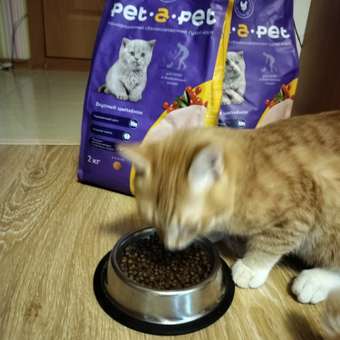 Корм для котят Pet-a-Pet 2кг с цыпленком: отзыв пользователя. Зоомагазин Зоозавр