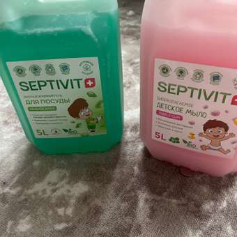 Гель для мытья посуды SEPTIVIT FRUTSY Нежное алое 5л: отзыв пользователя Детский Мир