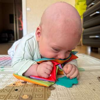 Игрушка Amarobaby книжка Soft Book в ассортименте: отзыв пользователя Детский Мир