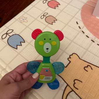 Прорезыватель Canpol Babies Мишка водный с погремушкой Зелёный: отзыв пользователя Детский Мир