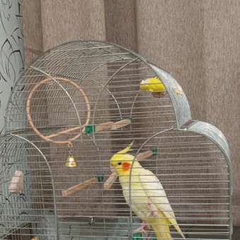 Качели для птиц Пижон круглые с колокольчиком бежевые: отзыв пользователя. Зоомагазин Зоозавр