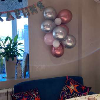 Гирлянда из воздушных шаров Мишины шарики готовый набор для фотозоны для девочки: отзыв пользователя Детский Мир