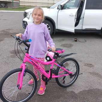 Велосипед NRG BIKES FALCON 20 pink-blue-black: отзыв пользователя Детский Мир