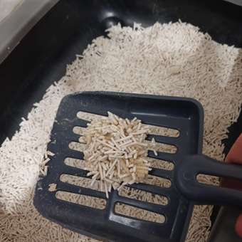 Наполнитель для кошачьего туалета Homzen Tofu Сливочный комкующийся 6л: отзыв пользователя. Зоомагазин Зоозавр