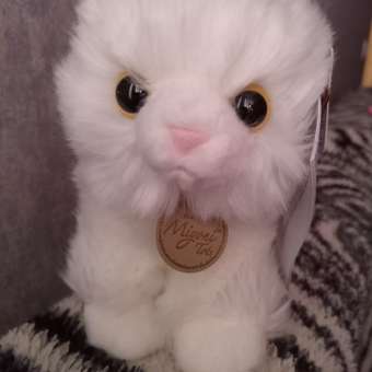 Игрушка мягкая Aurora котик: отзыв пользователя Детский Мир