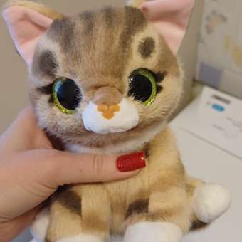 Игрушка Pets Alive Smitten Kittens Шар в непрозрачной упаковке (Сюрприз) 9541: отзыв пользователя. Зоомагазин Зоозавр