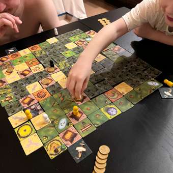 Настольная игра Magellan Шакал: отзыв пользователя Детский Мир