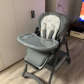 Стульчик для кормления Babyton Sweet Meals Grey классический: отзыв пользователя ДетМир