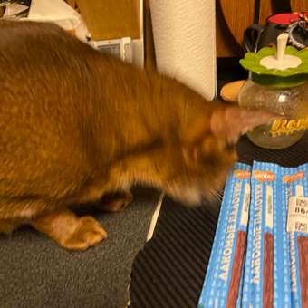 Лакомство для кошек Мнямс 10шт лакомые палочки с форелью и лососем: отзыв пользователя. Зоомагазин Зоозавр