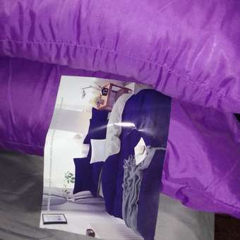 Комплект постельного белья PAVLine Манетти полисатин 2-спальный фиолетовый/серый S26: отзыв пользователя Детский Мир