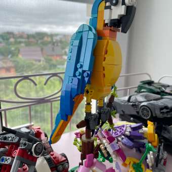 Конструктор LEGO Creator Exotic Parrot 253 дет.: отзыв пользователя ДетМир