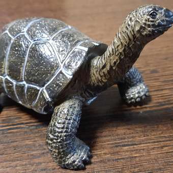 Фигурка животного Детское Время Черная черепаха: отзыв пользователя Детский Мир