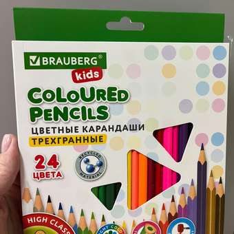 Карандаши цветные Brauberg художественные для рисования 24 цвета с мягким грифелем: отзыв пользователя Детский Мир