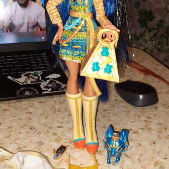 Кукла модельная Monster High Cleo de Nile: отзыв пользователя Детский Мир
