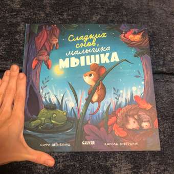 Книга Clever Книжки-картинки. Сладких снов малышка мышка!: отзыв пользователя Детский Мир