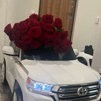 Автомобиль Jiajia Toyota Land Cruiser: отзыв пользователя Детский Мир
